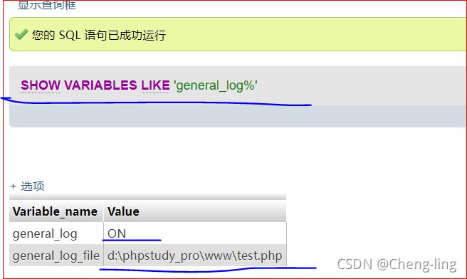 php练习日记技巧_phpmyadmin getshell之运用日志文件