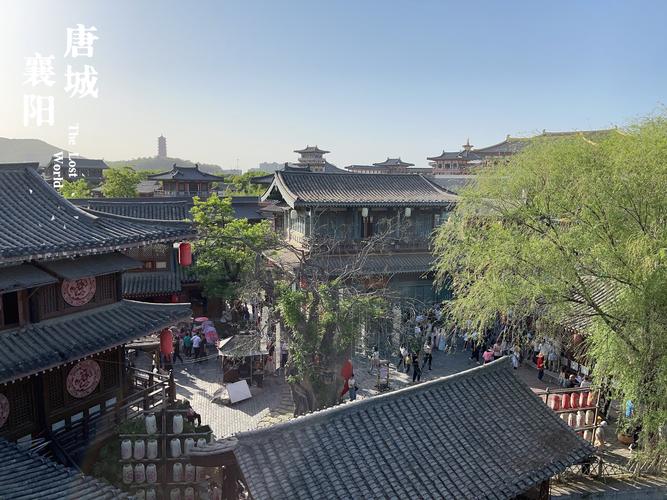 襄阳php培训技巧_在襄阳怎么选择培训黉舍