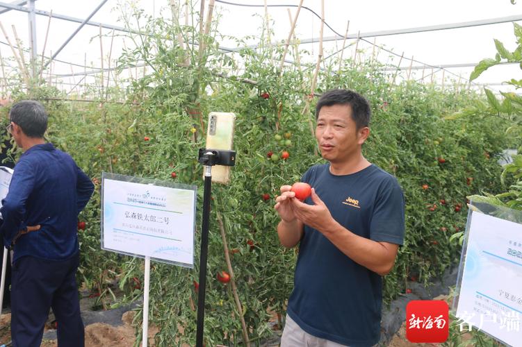 三亚php培训技巧_含编内招73人