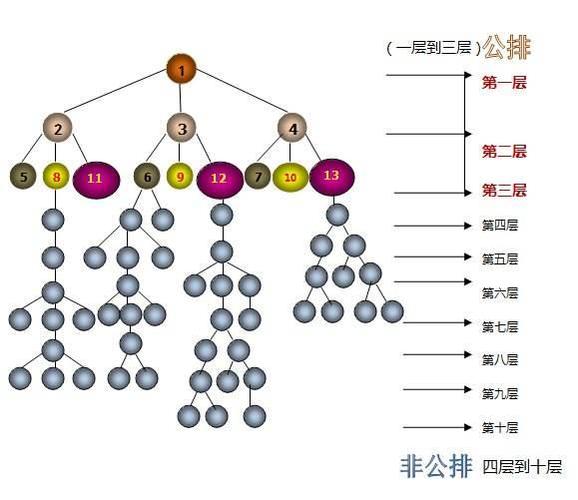 太阳线直销体系php技巧_专业人士解析直销企业需要什么样的软件系统