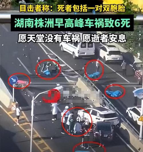 株洲php培训技巧_免费宣告株洲西餐培训信息
