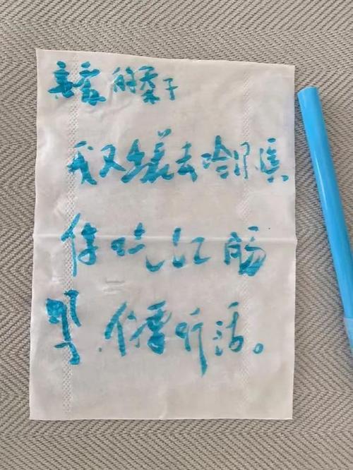 抖捕头源码php技巧_便衣警察不是总摊煎饼也可能是个骑三轮的