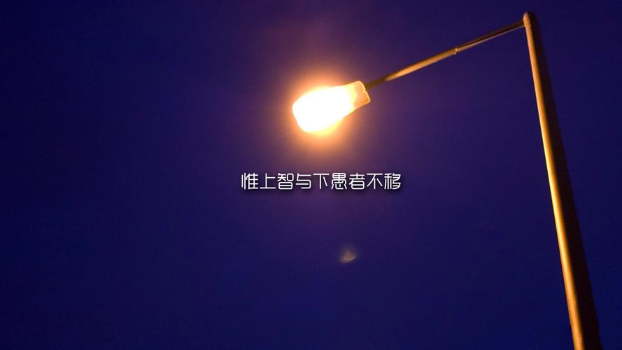 php花令郎蜂蜜技巧_给网恋的集团公子做了背景查询访问后她照样受愚了两千多万