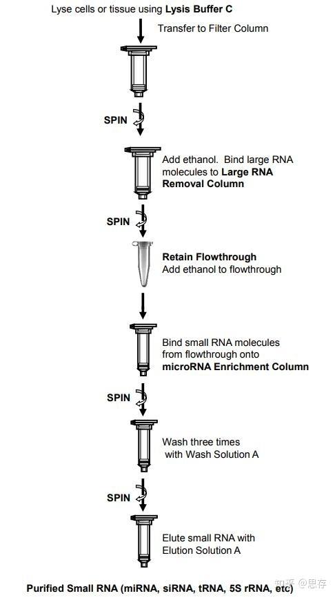 php过表达载体技巧_植物microRNA研究入门指南