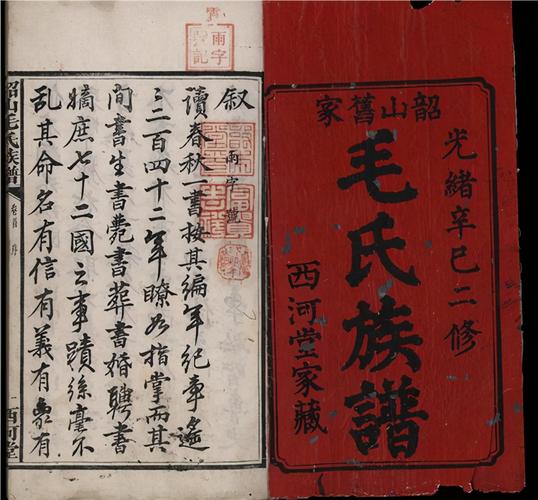 家谱整站法式php技巧_你家编修家谱的流程是若何的大年夜数据能助力修谱吗