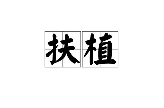 山东php网站扶植技巧_烟台网站培植的最佳机遇选择