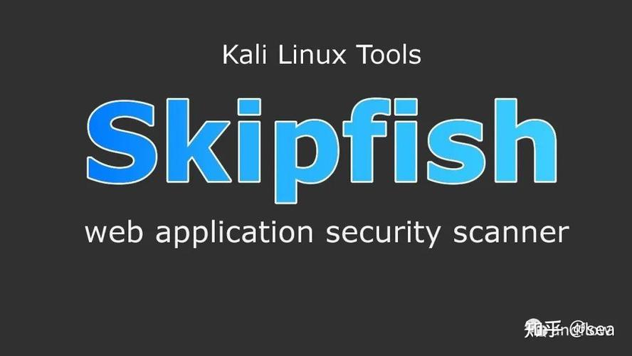 phpskip技巧_介绍一个渗透测试中运用的WEB扫描对象Skipfish