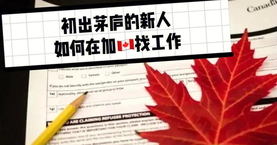 温哥华php技巧_我作为轨范员在加拿大年夜找工作的经验