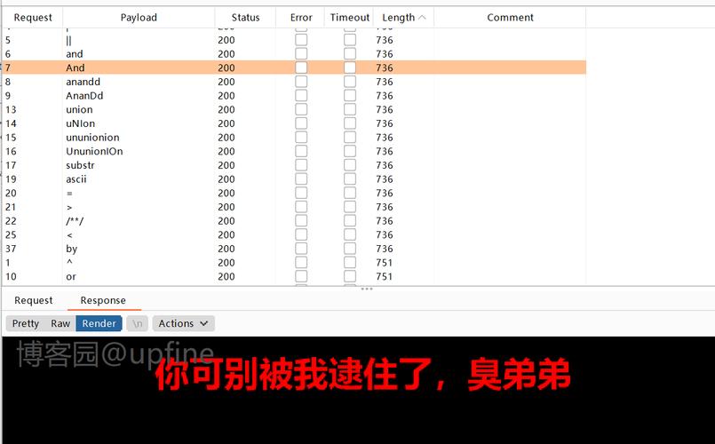 phpcheckusername技巧_极客大年夜寻衅 2019HardSQL