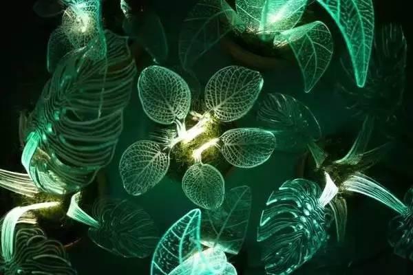PHP试剂技巧_还记得阿凡达里会发光的植物吗有人种出来了