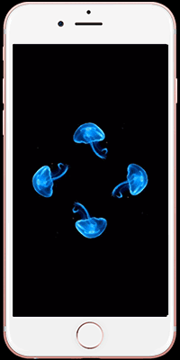 phplivephoto技巧_iOS动态壁纸实现