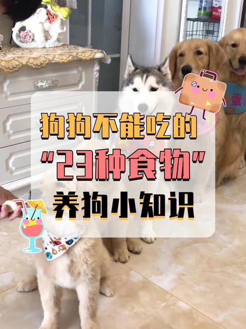 php狗技巧_狗的嗅觉超乎想象高效制备单晶有新方法 一周科技速览