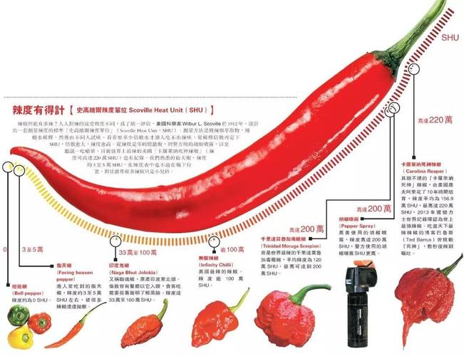 coc体系php技巧_JACC常吃辣椒心脑血管好科学家创造每周吃辣椒四次以上与心血管疾病去世亡风险下降33脑血管病去世亡风险下降61有关