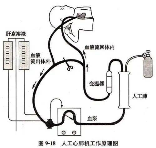 phpamqp心跳技巧_成年先天性心脏患者进行手术心脏或非心脏麻醉治理策略