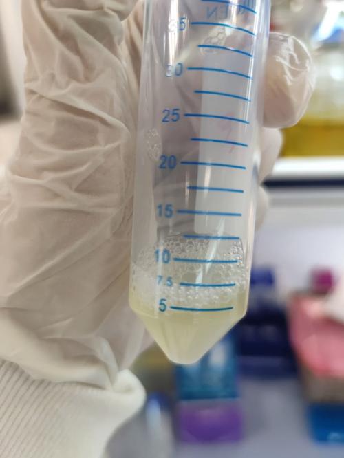 pHp质粒特色技巧_啥是质粒从生物武器到转基因食物都跟它有关