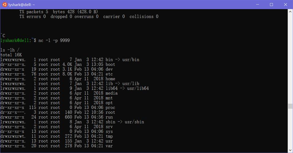 php版netcat技巧_Netcat 的进击与防御