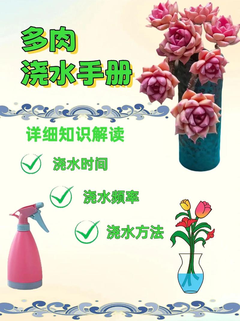 php浇水技巧技巧_多肉度夏两三事之关于浇水的那些事