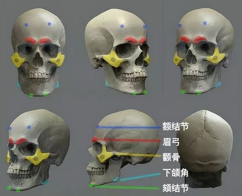 php免费视屏技巧_网上找不到好的免费视频教程看看这几个自学网站吧