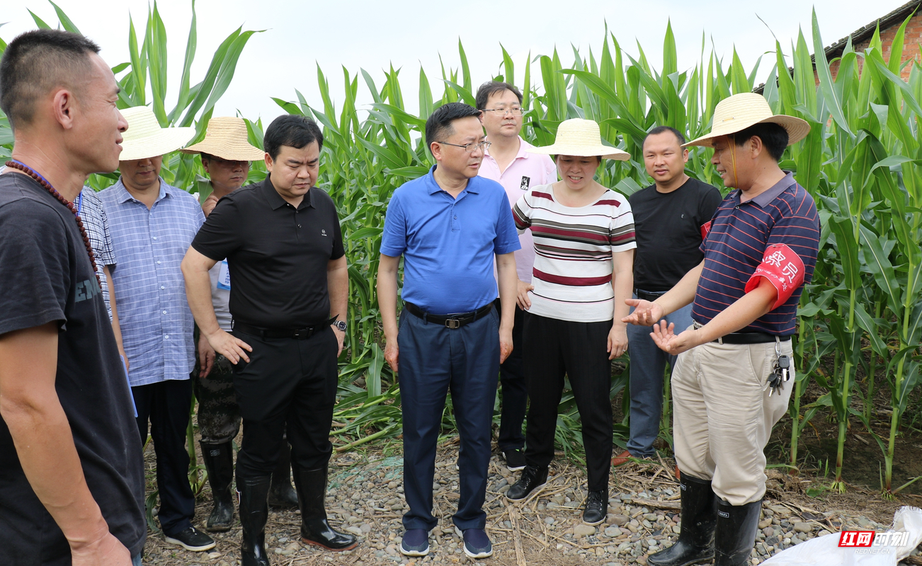 李书记php技巧_魏县农业农村局召开魏县2020年小麦吸浆虫防治技能培训暨防控动
