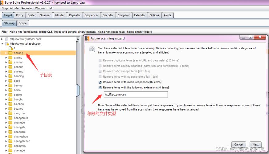burp发送php技巧_Burp Suite入门