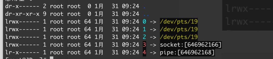 linuxphpmkfifo技巧_运用Falco监控反弹Shell