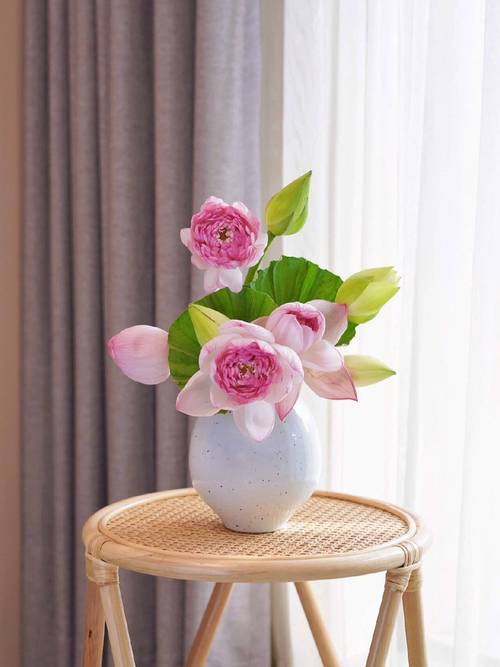 平阴PHP培训技巧_花花花花花花花花花花花花