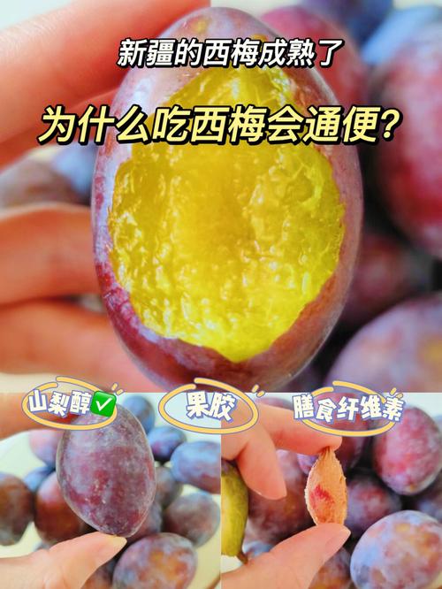 棒谷php技巧_董蜜斯的空调不一定能当发电站但牛放屁确实可以发电