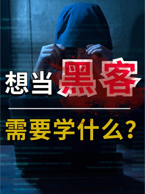 中谷教导php技巧_若何成为一名黑客新手入门到大年夜师全集