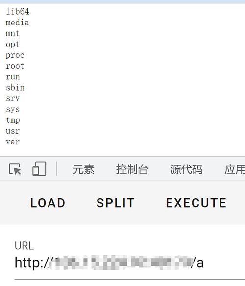 php安排ping技巧_从一道题目中进修反弹shell