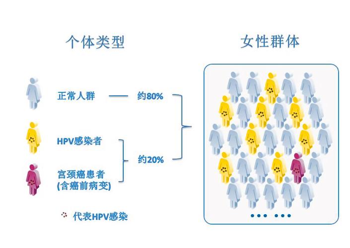 php宫颈检讨技巧_教改探索|宫颈癌你理解吗