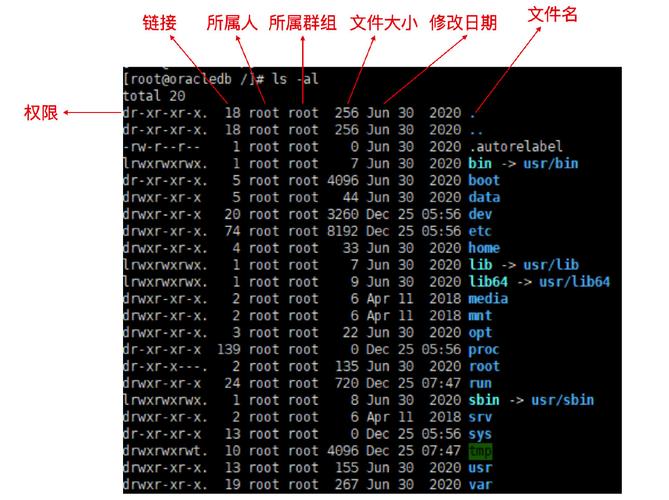 linuxphp权限技巧_看完这篇 Linux 权限后通透了
