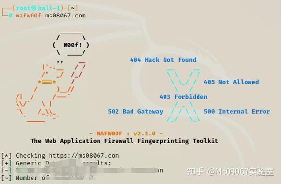 htmlzhongcharuphp技巧_Web安然实战sqlmap绕过WAF