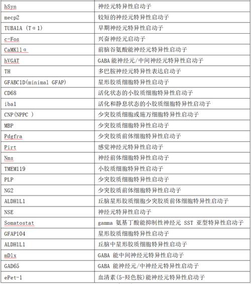 php血清功能技巧_是干货啊神经研究中启动子和血清型这样选