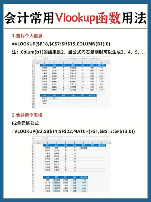 php数组colum技巧_Vlookup函数的12种用法