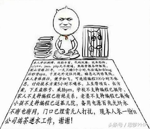 php就业艰苦技巧_留学生找工作有多灾看完这篇文章你就知道了