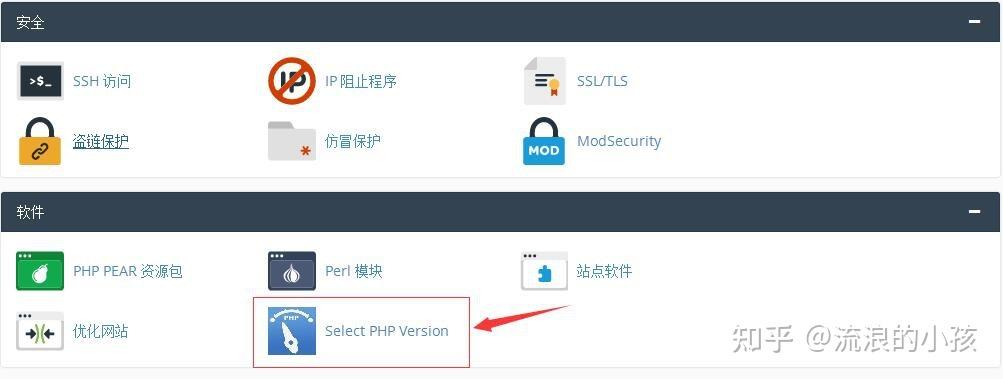 idhttpserver取代php技巧_8 个最佳免费 cPanel 替代品