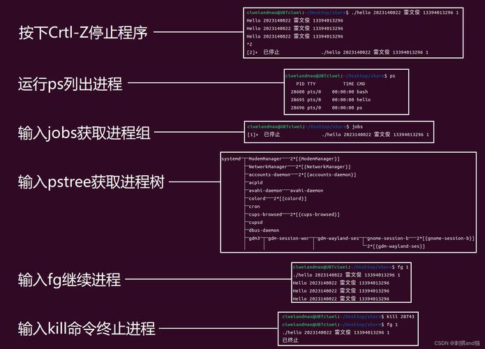 php句柄cnblog技巧_掌握Net桌面开拓的精髓之一句柄一种特殊的数据类型3