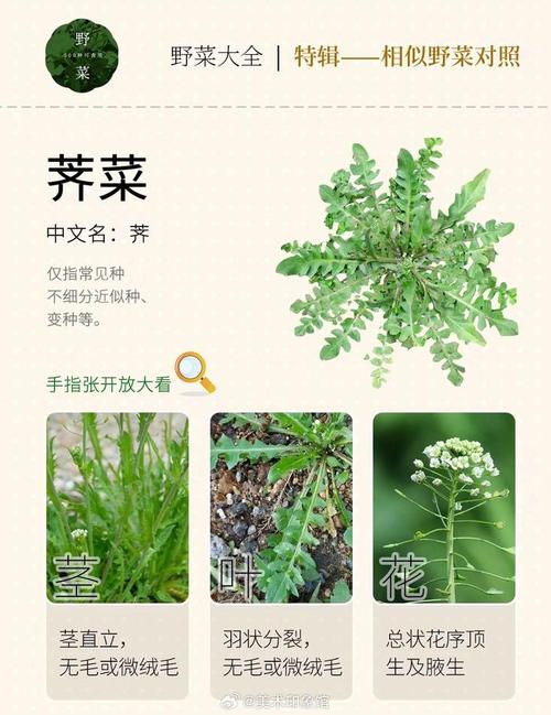 dreamwarephphtml技巧_若何的网站培植流程才算是完整看完这个你就懂了