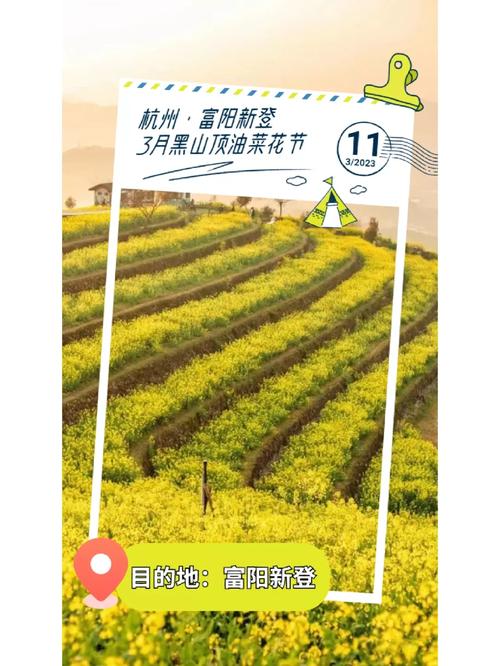 PHP对接vr技巧_中国规格最高的一次VR国际盛筵欲望不会错过油菜花的你