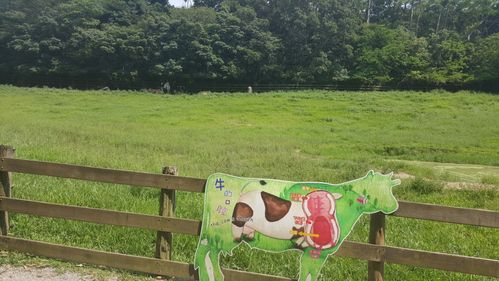 飞牛PHP技巧_年客流30万台湾飞牛牧场怎么做到的