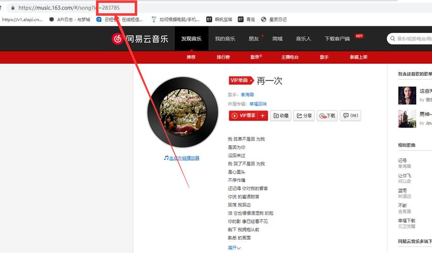php音乐直链技巧_网易云音乐没有接口怎么办那就自己抓