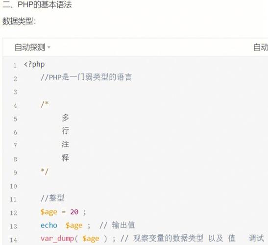 php段标签技巧_五PHP基本语法第一课