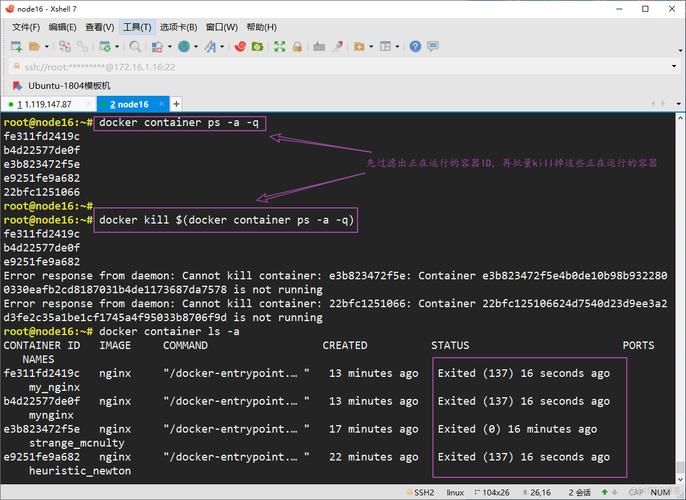 php容器打包技巧_Docker容器构建最佳实践
