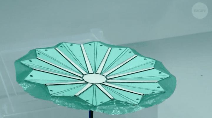 php折叠体系技巧_Nature哈佛团队发明多稳态充气折纸结构瞬间撑起小帐篷