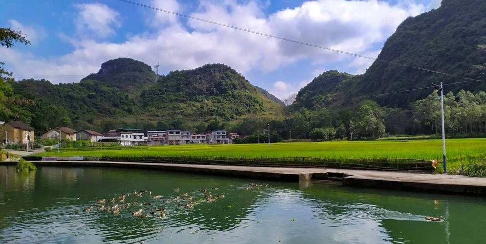 柳州招php技巧_招聘柳江法院招聘启事