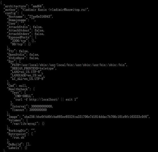 php反向镜像技巧_剥茧抽丝反向工程Docker镜像