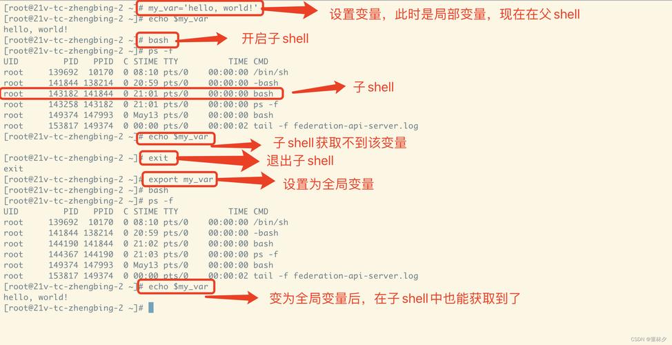 php调javashell技巧_10分钟入门Shell脚本编程
