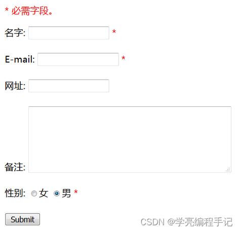 php表单input技巧_PHP 表单和用户输入