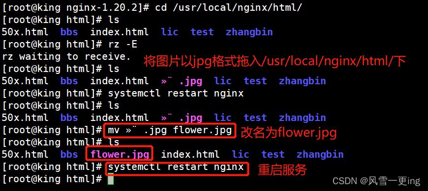 PHP防盗功效技巧_Nginx防盗链访问控制Nginx解析PHP的相关设备Nginx代理