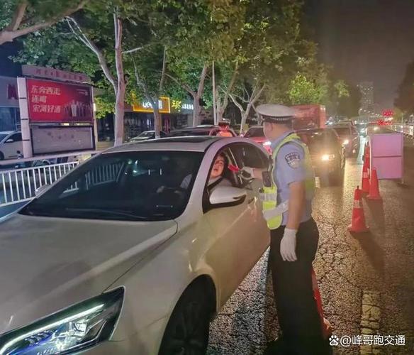 刘亮php技巧_曝光  看看3月份周口交警查处酒驾醉驾人员都是谁